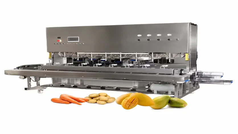 Potato Peeling Machine
