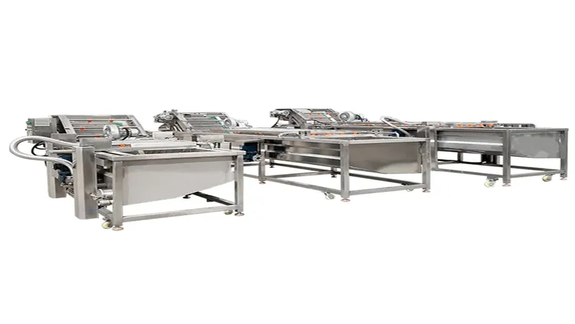 Fruit & Vegetable Washing Machine