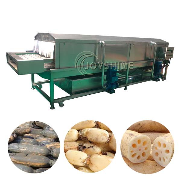 Brush Washing Machine