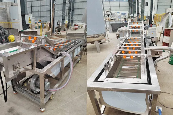 1. 3m fruit and vegetable bubble washing machine for Colombia customer